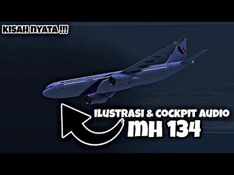 ILUSTRASI MALAYSIA AIRLINES FLIGHT 134 ️TEKS INDONESIA  YouTube