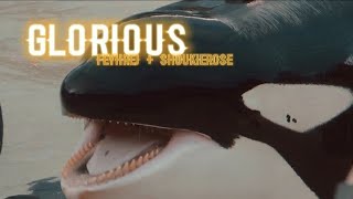 𝘎𝘭𝘰𝘳𝘪𝘰𝘶𝘴 | Collab with Feyhrej