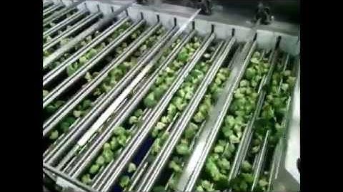 Broccoli Lift Roller Sizer - On Site