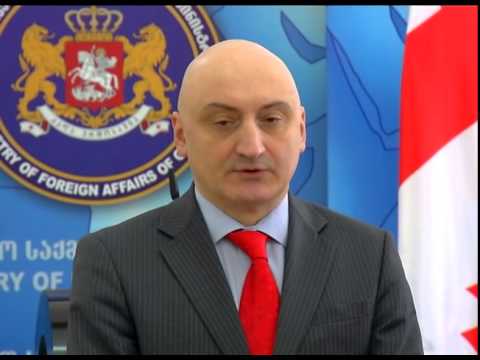 დავით დონდუა ეუთოს საპარლამენტო ასამბლეის გენერალურ მდივანს შეხვდა