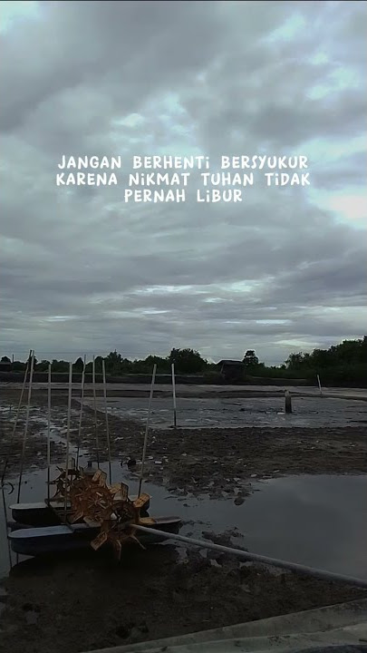 Tetap bersyukur /setory wa 30 detik/terbaru