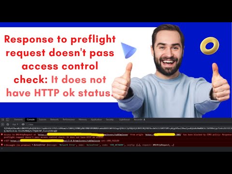 Response to preflight request doesn't pass access control check: It does not have HTTP ok status.