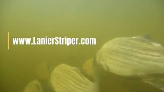 My Promo video