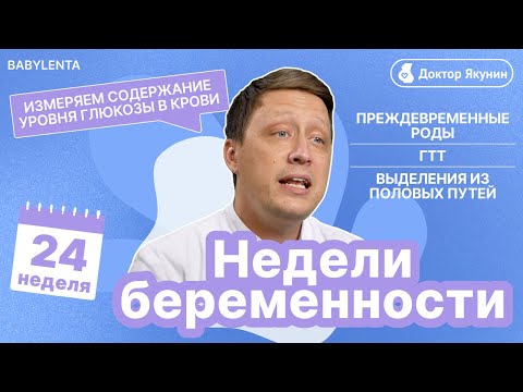 24 неделя беременности развитие плода, как выглядит малыш, что происходит, ГТТ, выделения, глюкоза