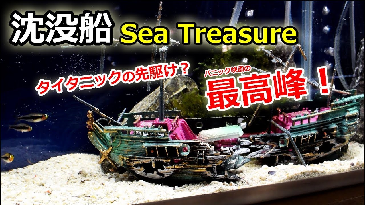 水槽に沈没船 かなりリアルだった Water Tank To The Sunken Ship Youtube