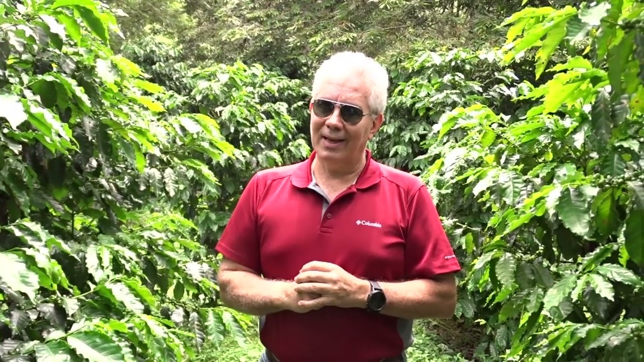 Finca San Antonio un triunfo gracias a Nápoles 777  investigando la molécula del  DMPP