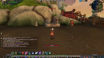 Bug report on Timeless isle ( Wow Freakz )