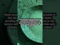 waterproofing crack proofing floorings and pest control