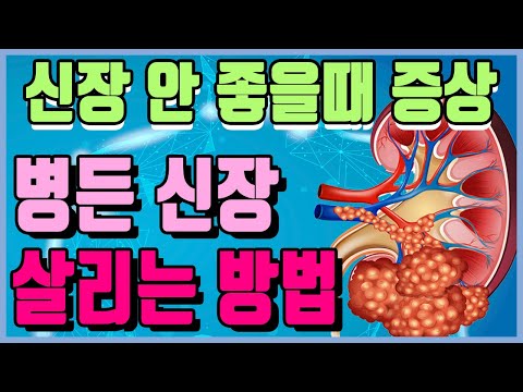 <strong>신장에</strong> <strong>좋은</strong> 건강한 식단, <strong>음식과</strong> <strong>운동</strong> [하늘건강법]