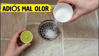 How to remove bad smells from shower pipes | Easy home remedy