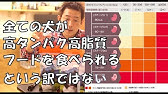 犬の必須タンパク質量計算方法について Youtube 犬の必須タンパク質量計算方法について Youtube
