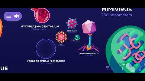 Planck Length and Observable Universe (Universe in the nutshell)