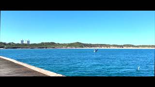 Soundscape - Elliston, SA Australia | Ocean | Jetty | Seaside | Waves | Nature