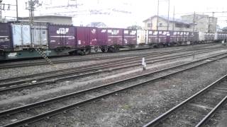 貨物列車 EF66牽引 3064レ 黒磯駅
