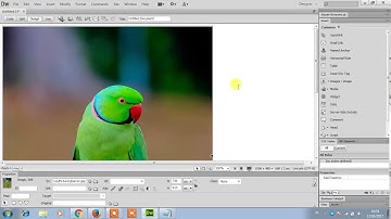 Use the insert panel to insert the image
