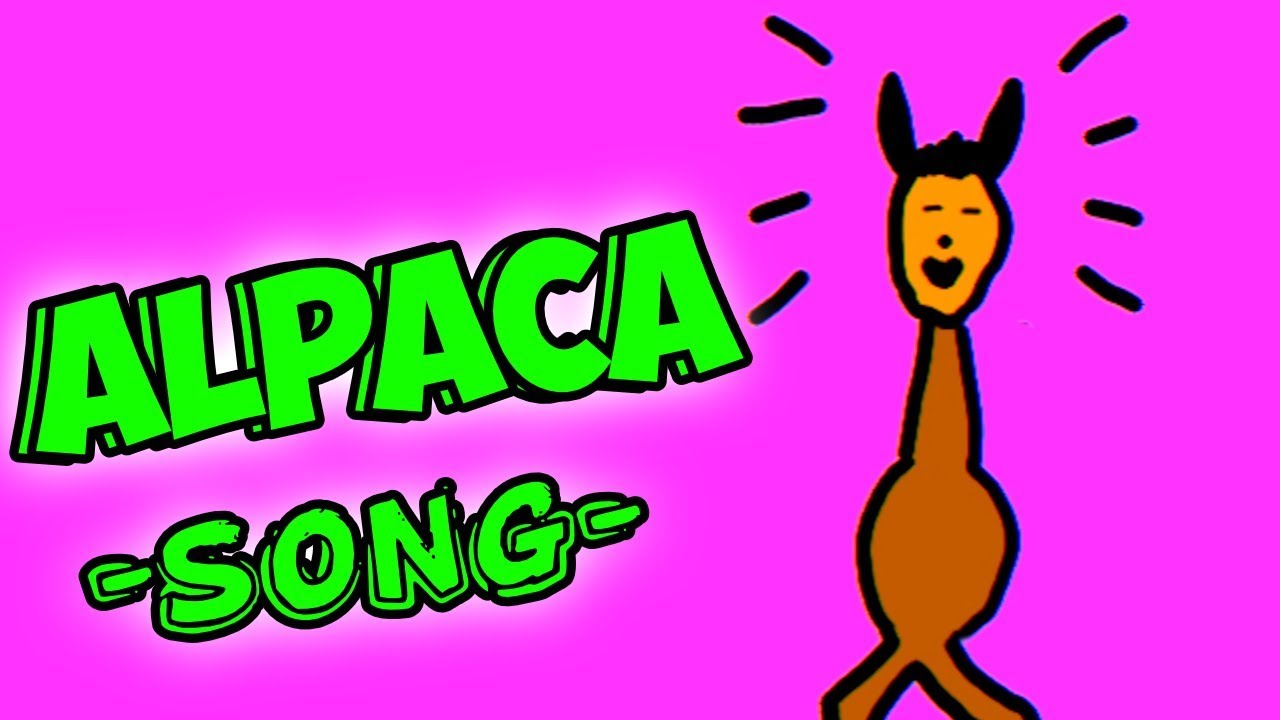 Alpaca Song YouTube