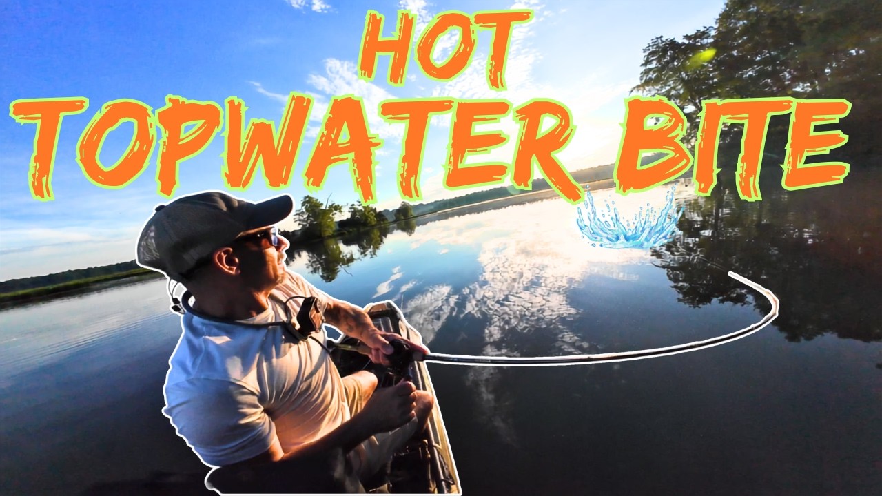 Hot Topwater Bite! Non-stop Kayak Bass Fishing Action