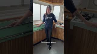 Southern Newfoundland Slope: Scientific Expedition 2025
Oceana Canada recently completed a deep-sea mission to explore the Southern Newfoundland Slope.
Watch to hear from marine scientist Isabelle Jubinville this deep-sea mission matters
#deepseaexploration #expedition #sealife #oceanlife #oceanconservation Southern Newfoundland Slope: Scientific Expedition 2025