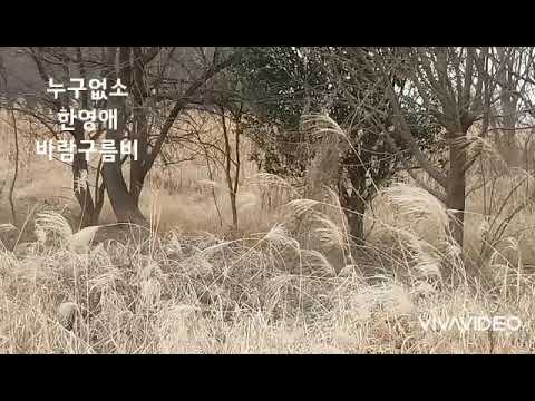 누구없소(한영애) 노래-바람구름비