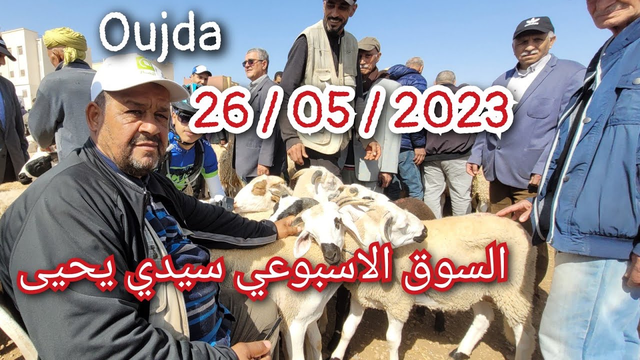 مباشرة من سوق الأسبوعي سيدي يحيى 🔥🔥#oujda