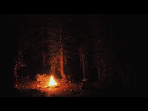 უმადურობიდან, მადლიერებამდე