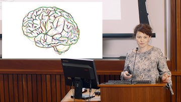 The Mouse as a Model: Development Dysfunction of Inhibition in a Genetic Model of Autism (7 of 10)