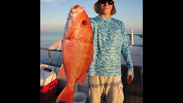 Red snapper re opening! | https://HubbardsMarina.com