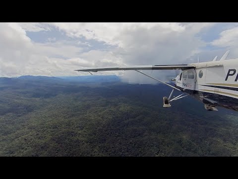 PC6 Porter flying