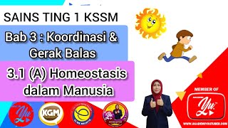 SAINS TING 1 KSSM. Bab 3/ 3.1 (A): Homeostasis dalam Manusia