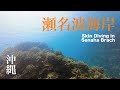 【瀬名波海岸】| シュノーケリングで巡る透明な海の世界 | 沖縄 | スキンダイビング | 4K