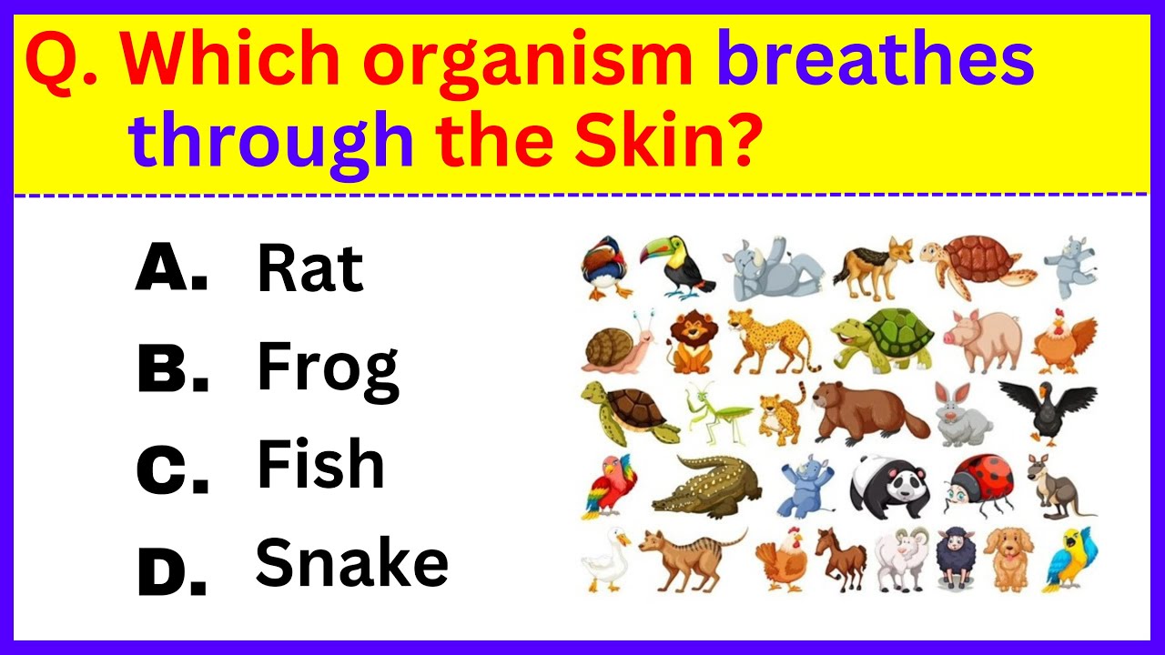Ваш мозг острый, если вы угадаете 10 правильных ответов! 🧠 Попробуйте пройти этот тест на общие з...