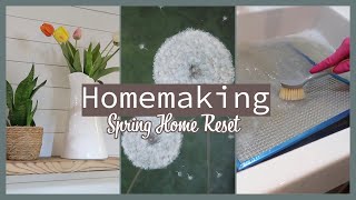 Spring Home Reset | Homemaking Encouragement + Exciting News & Cannel Update! by Faith and Flour 16,024 views 1 month ago 32 minutes