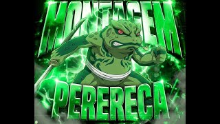 Montagem Perereca