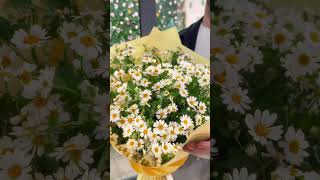 Obuna Bòlishni Unutmang