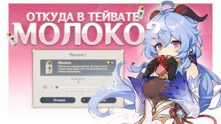 картинка: 5 ТУПЫХ, но ЛОГИЧНЫХ вопросов по ЛОРу Genshin Impact!