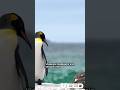 🐧“Penguenlerin krallığı : FALKLAND ADALARI gizli kalmış hikayeler saklı! #falkland #falklandislands