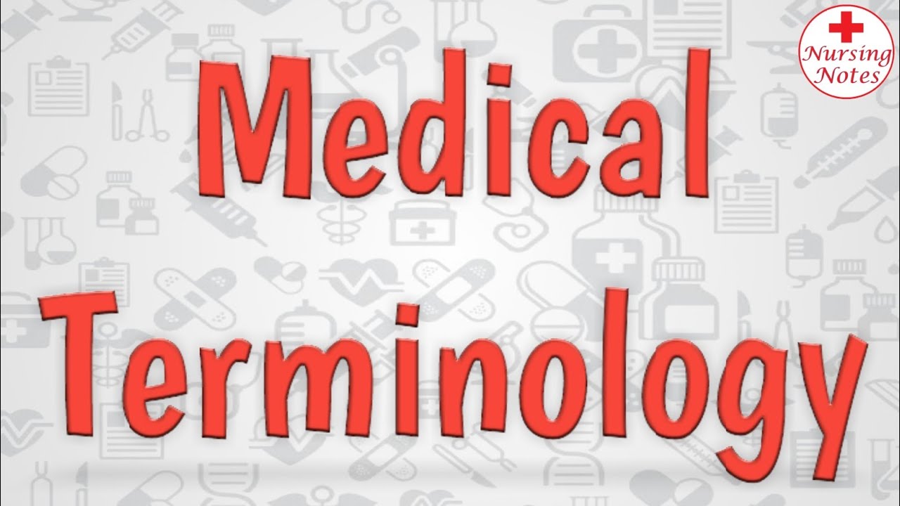 Medical Terminology YouTube