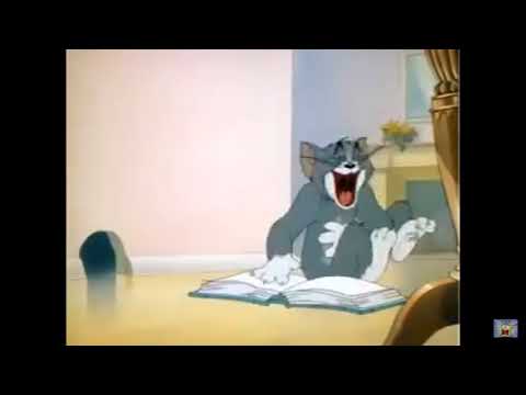 Tom cat laughing at blank book for 1 minute and 3 seconds