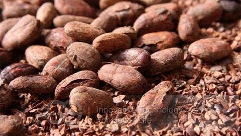 Automatic Cocoa Beans Peeler Machine|Coffee Beans Peeling Machine