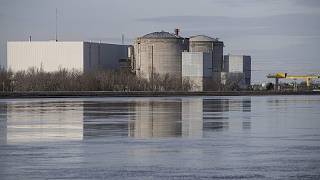 Jellyfish plague in France: 3 nuclear reactors must be shut down