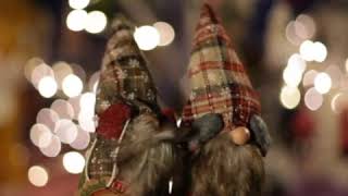 ⭐🎁Christkindl LIVE⭐🎁 - Pair of Cute Gnomes - 1st Online Christkindlmarket in the US