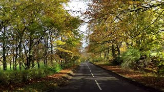 Autumn along Ellesborough Road, Wendover