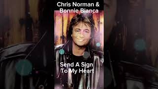 Chris Norman \u0026 Bonnie Bianca -Send A Sign To My Heart 1997 #스트레스해소 #shorts