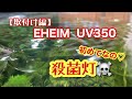 【アクアリウム】エーハイムUV350殺菌灯　取り付けしてみる