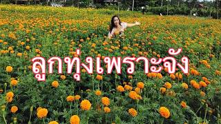 ลูกทุ่งเพราะจัง