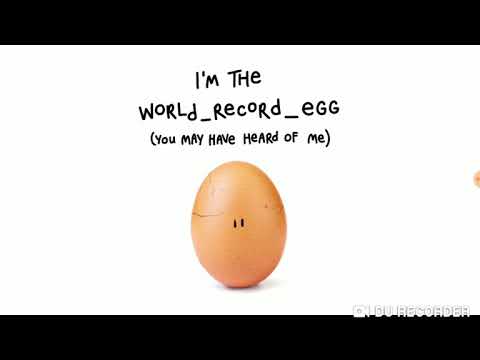 World record egg egg breaks