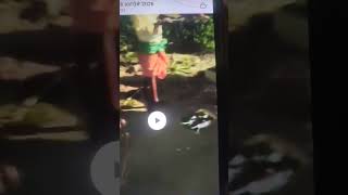 சூனியங்கள் அழிய பூஜை