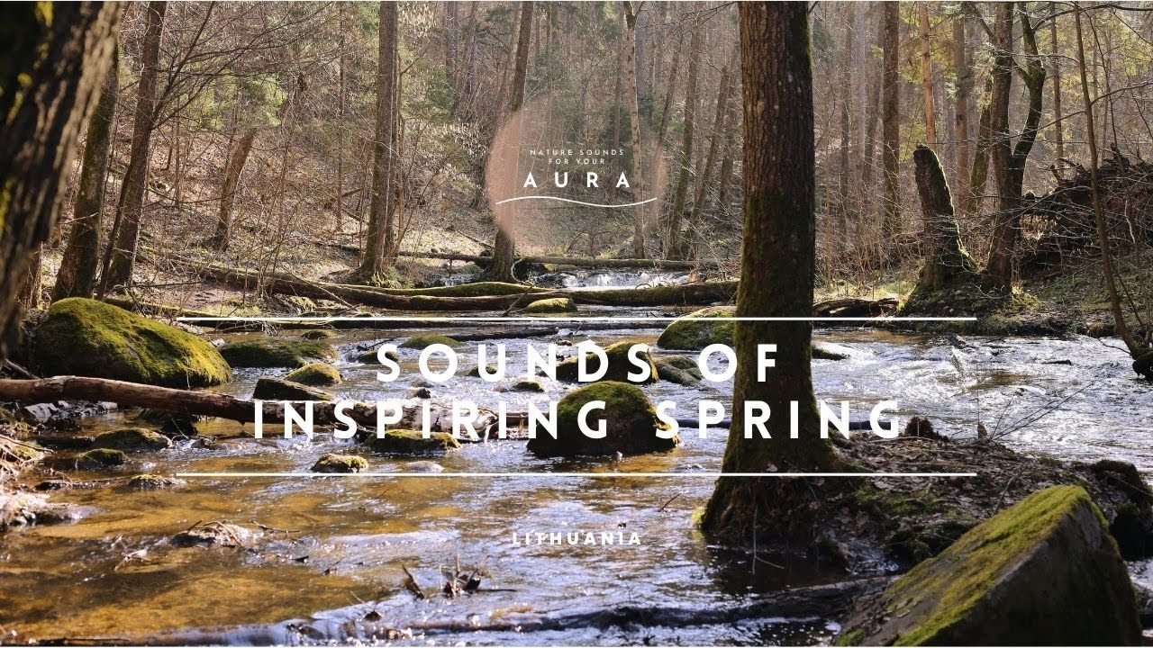Sounds of inspiring spring. Meditation. Relaxation. Deep sleep. #spring ...