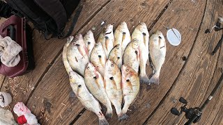 Fishing Oceanside Pier! (CROAKERS!)