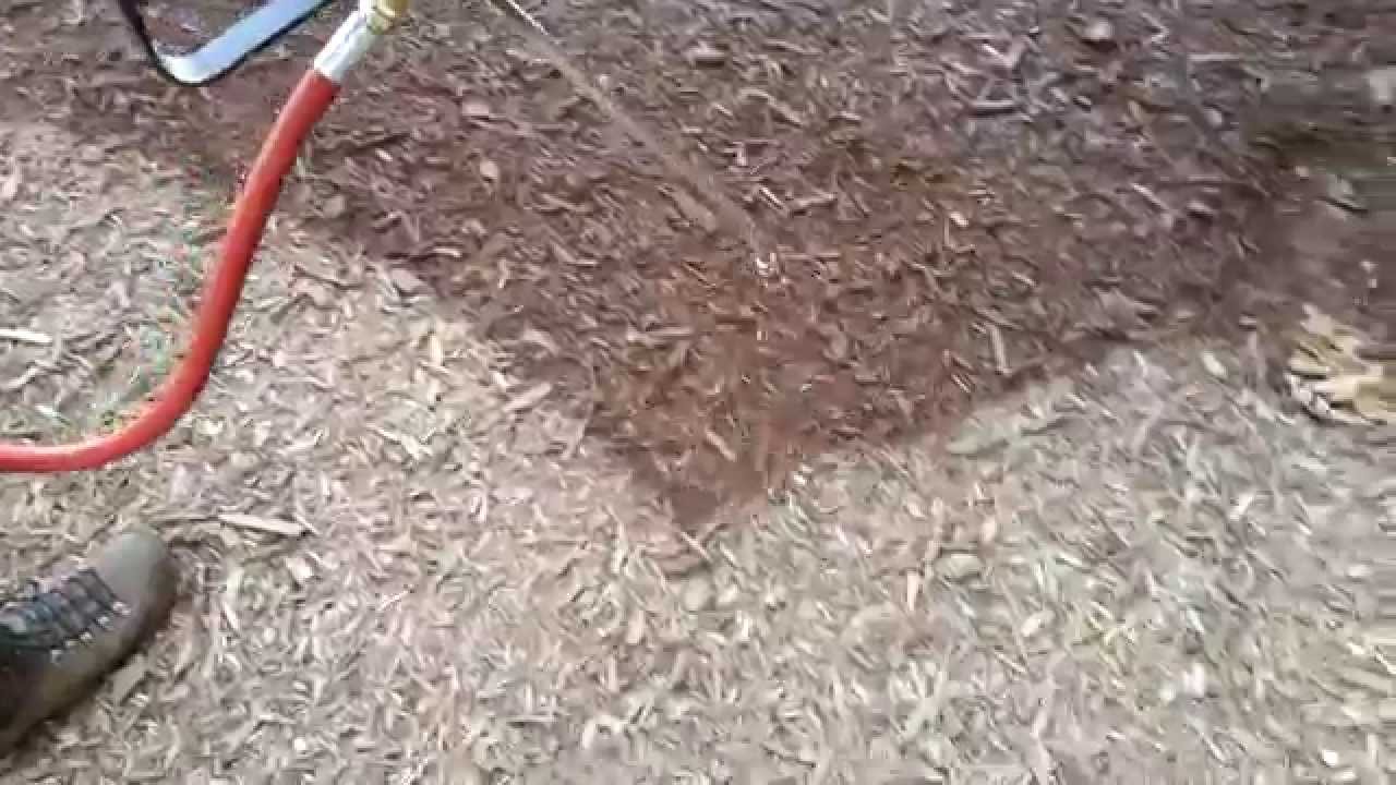 Bringing old mulch back to life. YouTube